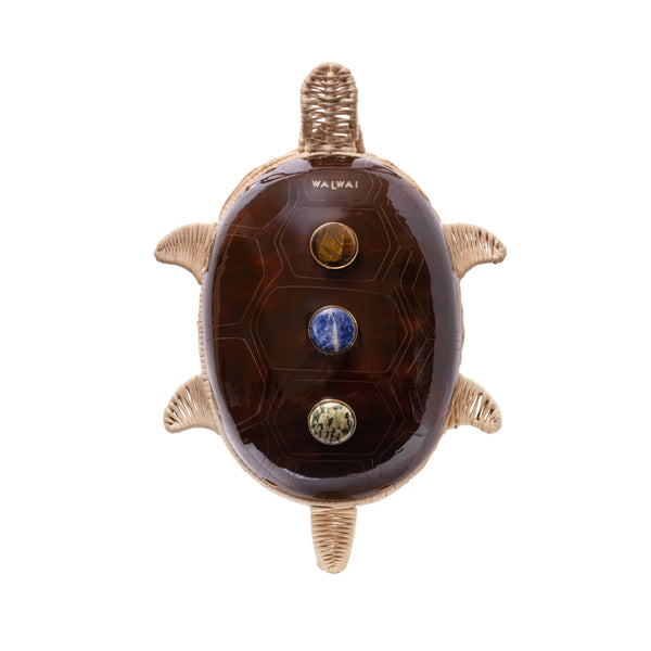 Tartaruga